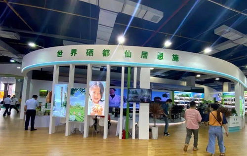 建南多款產品閃耀硒博會，舞今信息引領科技新風尚
